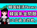 韓国 中国 ニュース NEWS news 経済 韓国経済 中国経済 最新 韓国年金問題  「現在の年金はポンシスキーム、つまり出資金詐欺」次期韓国年金学会会長 イ・チャンス教授 ニコニコ版