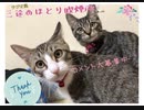 HIDEとYOSHKIの演奏
