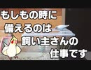 保護して8年！プラケースも平気になりました！