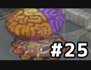 ブレスオブファイア３を激しく初見実況プレイPart25