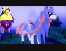 【ポケモンソード】遂に伝説のポケモンが出現!剣盾発見か!#25