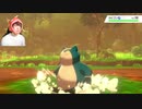 【ポケモンソード】まだ続くぞ!クリア後のストーリーが熱い!#28