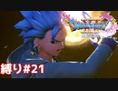 レベル上げしたり、ヨッチ族の村に行ったり【ドラゴンクエスト11S】縛り初見プレイ＃21