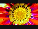Video-edit @City