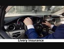 Chauffeur Service