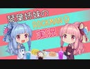琴葉姉妹とロックマン９！　12個目 (終)