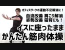 イスに座ったまま運動不足解消！かんたん筋肉体操【血流姿勢改善・肩こり猫背解消】