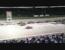第14回兵庫サマークイーン賞 シーアフェアリー
