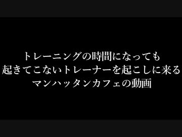 トレーニングの時間になっても起きないトレーナーを起こしに来るマンハッタンカフェの動画