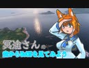空からWoWSを見てみよう part2【Ark royal】