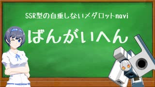 【SaSaRa型の】 番外編「兄妹と姉弟」【そこそこ自重しないメダロットnavi】