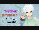【自己紹介】はじめまして！ふぁんたむです！【新人vtuber 】