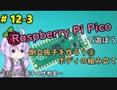 #12-3 倒立振子を作ろう③ボディの組み立て ～DHAの電子工作教室～【Raspberry Pi Pico】