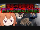 世界の危険な昆虫たち【VOICEROID解説】