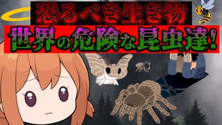 世界の危険な昆虫たち【VOICEROID解説】