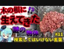 【閲覧注意】検索してはいけない言葉を怖がりが調べてみる！Part11【ゆっくり実況】