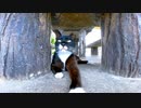 パーキングの休憩所で行われる猫の集会に参加してきた