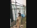 テスト