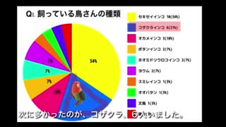 鳥飼いさんにアンケート取ってみた結果！(2016→2021)