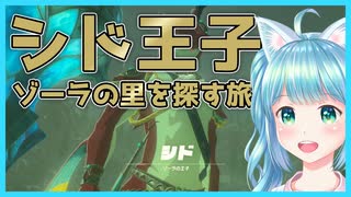 【実況】ゼルダシリーズ初見の女子がプレイしてみた～シド王子に会いに行く！【Part13】