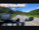 もみじロードを走ってみたよ。