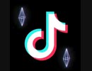 TikTok音源※自分用(5)"修正版"