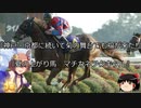 【競馬】ゆっくりさんと未来に語り継ぎたい名馬たち その036【ゆっくり朗読】