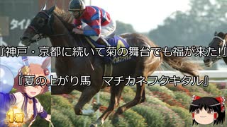 【競馬】ゆっくりさんと未来に語り継ぎたい名馬たち その036【ゆっくり朗読】