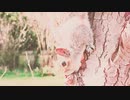 ☆CHIYURI☆ ZOO