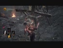 【ダークソウル3】獣の熱烈な抱擁【9-4回目】