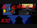 【ゆっくり実況】 真・女神転生Ⅱ #30（SFC版）