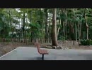 オリンピック開会式終わり/ らじこ  Free Talk NATIVE