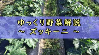 ゆっくり野菜解説 part7 ズッキーニ