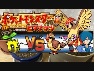 【実況】ヒマナッツが瀕死になったら「現実でひまわりを育てる」縛り（Part③）