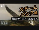 痛い子がスチームパンクな古代遺跡で記憶喪失12【実況】