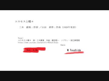 【Remix】コスモスと蝶々(Ver 1.0c)