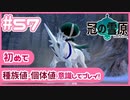 【ポケモン剣盾/DLC1鎧の孤島】ポケモン好きが、初めて種族値・個体値を意識し冒険！【実況】#57