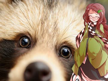 【講座動画投稿祭2021夏】タヌキに天下を取らせた漢達⑦【井伊直政】