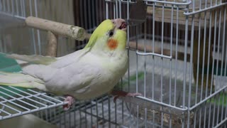 ♂♀