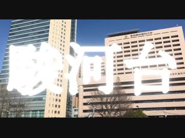 うまぴょい大学