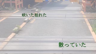 【傷音ウサ】繰り返しの蓄音機【UTAUオリジナル】