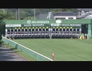 【競馬】アイビスサマーダッシュ(G3)2021