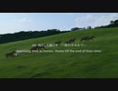 引退競走馬インタビュー #6『馬らしく過ごす ～終のすみかで～』