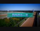 競走馬の一日