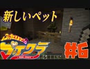 【二人でマイクラ】NEWスーパー泥棒ブラザースpart6