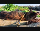 2021/07/26放送【115日目 北海道 根室市 早朝海辺のあずにゃんぽ（猫散歩）】北海道全市町村制覇するまで帰れまてん！　猫と車中泊の旅　日本縦断【旅猫あずき～保護猫から旅猫へ～】