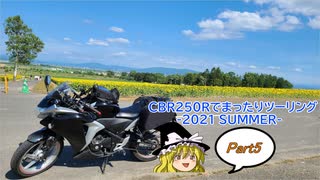 【ゆっくり車載】CBR250Rでまったりツーリング Part 5