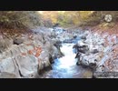 質問募集します！[youtubeチャンネル登録者50人記念]