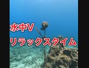 水中V・慶良間諸島
