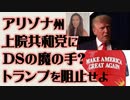 アリゾナ州 上院共和党にDSの魔の手？ トランプを阻止せよ